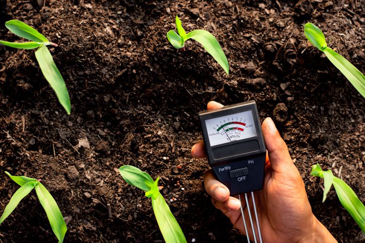 digital soil tester in USA